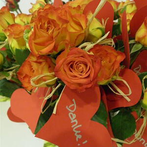 KFB Jahreshauptversammlung