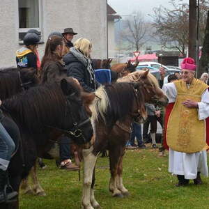 Zu Fuß und hoch zu Pferd