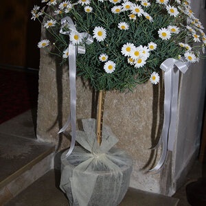 Messe für Ehejubilare am 22.05.2011