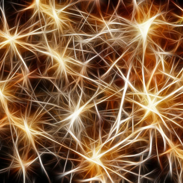 Gottesdienstart und Festtag eintragen