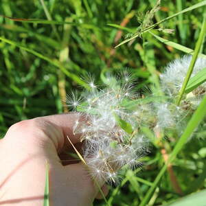 Die Schnitzeljagd der Jungschar auf dem Freinberg