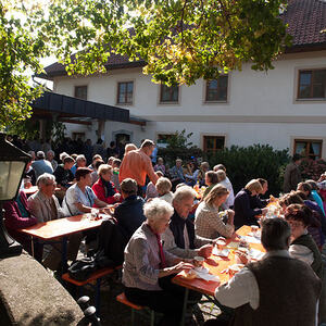 1. Schallerbacher Musiroas