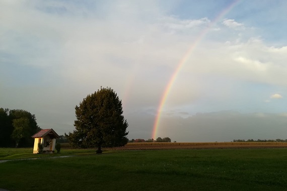 Sternwallfahrt / Ursula Putz im Rath