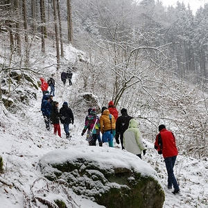 Firmlinge im Schnee