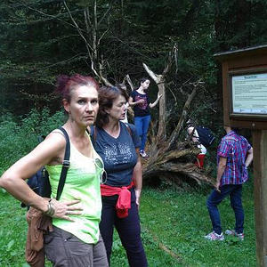 Naturerlebnisweg Pfarrwald Vöcklabruck