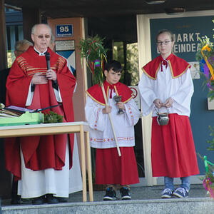 Palmsonntag 2017 - Einzug