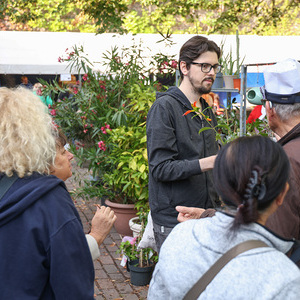 Flohmarkt