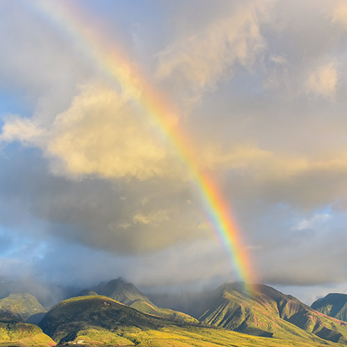 Regenbogen