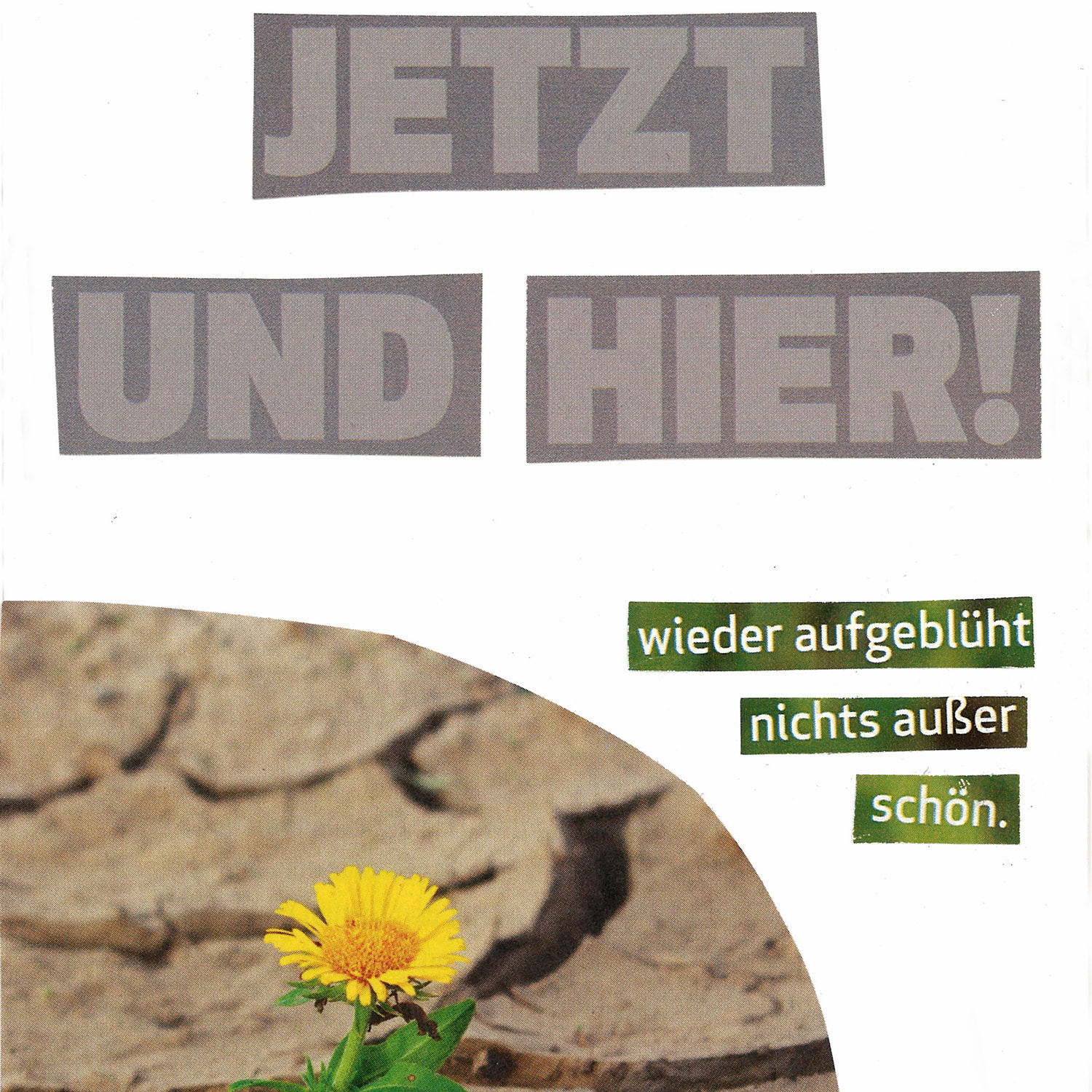 Collage „Jetzt und hier!“