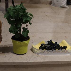 Eindrücke beim Fest der Erstkommunion 2024 in St. Quirinus