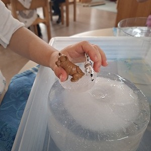 Experimente Eis und Schnee