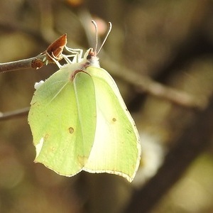 Heidewald Schieferegg - Umweltarbeit in der Diözese Linz