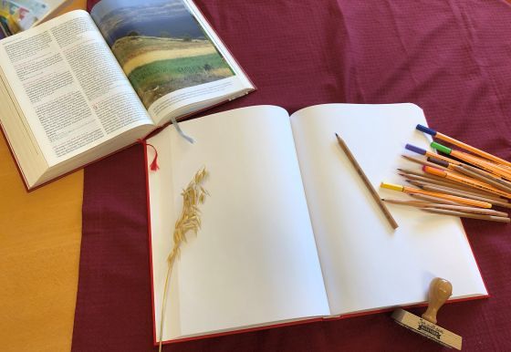 Gemeindebibel / © Bibelwerk Linz Gemeindebibel