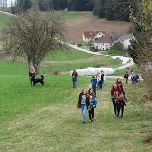 Ostern 2017, Pfarre Neumarkt im Mühlkreis