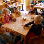 Schmetterlingsgruppe