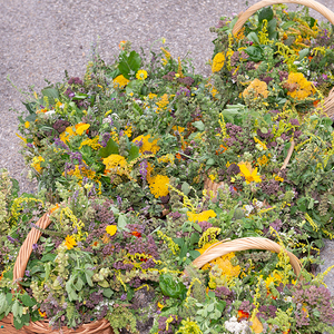 Maria Himmelfahrt 2022