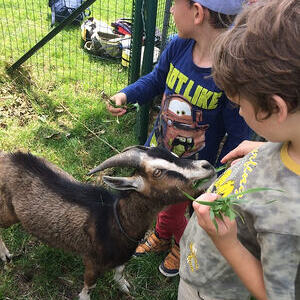 Jungschar- und Ministrantenausflug