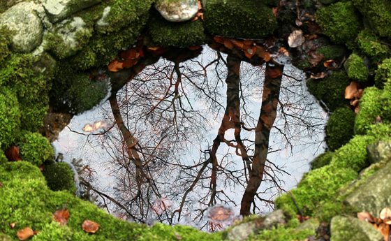 Sich spiegelnder Himmel im Wasser