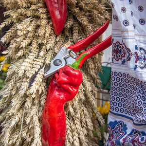 Beate Huemer-Schulz und Maria Ullner beim Binden der Erntekrone