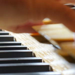 Des Domorganisten (Wolfgang Kreuzhubers) Finger zaubern Klänge.