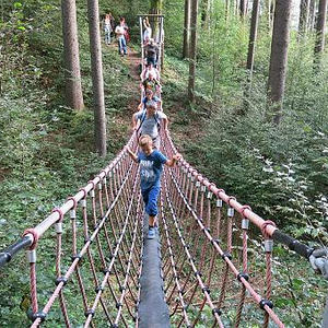 Naturerlebnisweg Pfarrwald Vöcklabruck