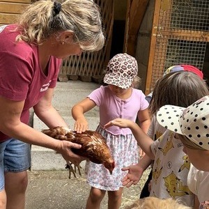 Tiere streicheln