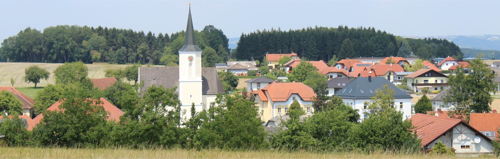 Bäckerberg-Sicht