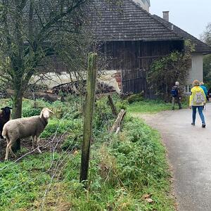 Gunskirchener Pilgertag 2022