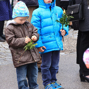 Palmweihe & Festzug
