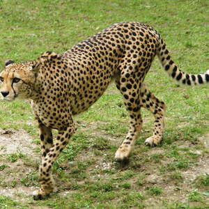 Kinderausflug Schmiding