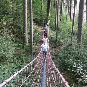 Naturerlebnisweg Pfarrwald Vöcklabruck