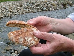 geteiltes Brot