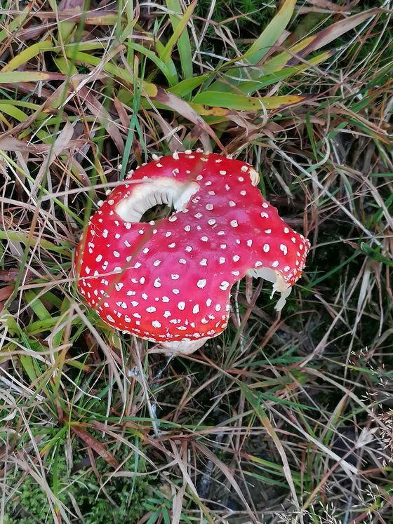 Samstag, den 24. September 2022