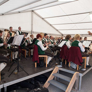 1. Schallerbacher Musiroas