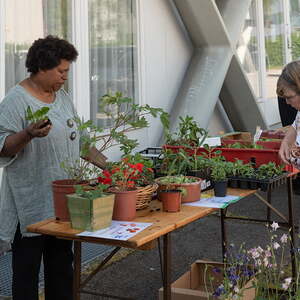Pflanzenflohmarkkt 2018