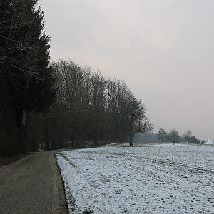 Emmausgang zum Schiltenberg