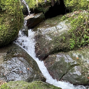 Start Fastenbegleiter-Lehrgang 2023 Bad Mühllacken