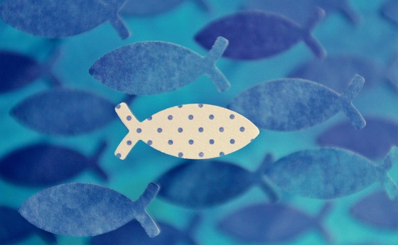 Fisch schwimmt gegen den Strom