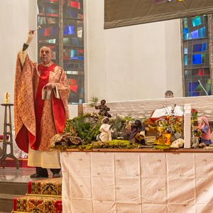 Palmsonntag Pfarre Kirchdorf an der Krems