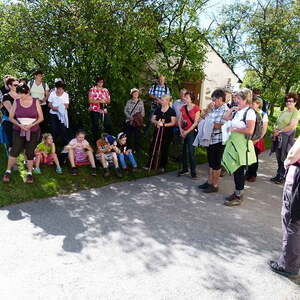 Bei Scheuchenstuhl (Sepperl)