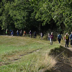 Fußwallfahrt der Pfarre Heilige Familie Wels nach Maria Fallsbach