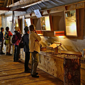 Vorarlbergreise der Kokuwawis