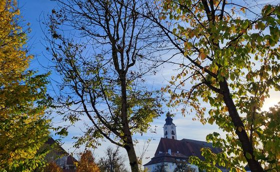 Sonntagsblatt / ©Bild für die Pfarrgemeinde Eferding/Ingrid Neundlinger
