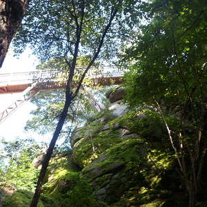 Pfarre Neumarkt im Mühlkreis