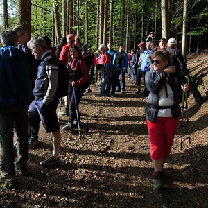 meditative Pilgerwanderung 28.4.18