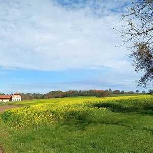 Gunskirchener Pilgertag 2022