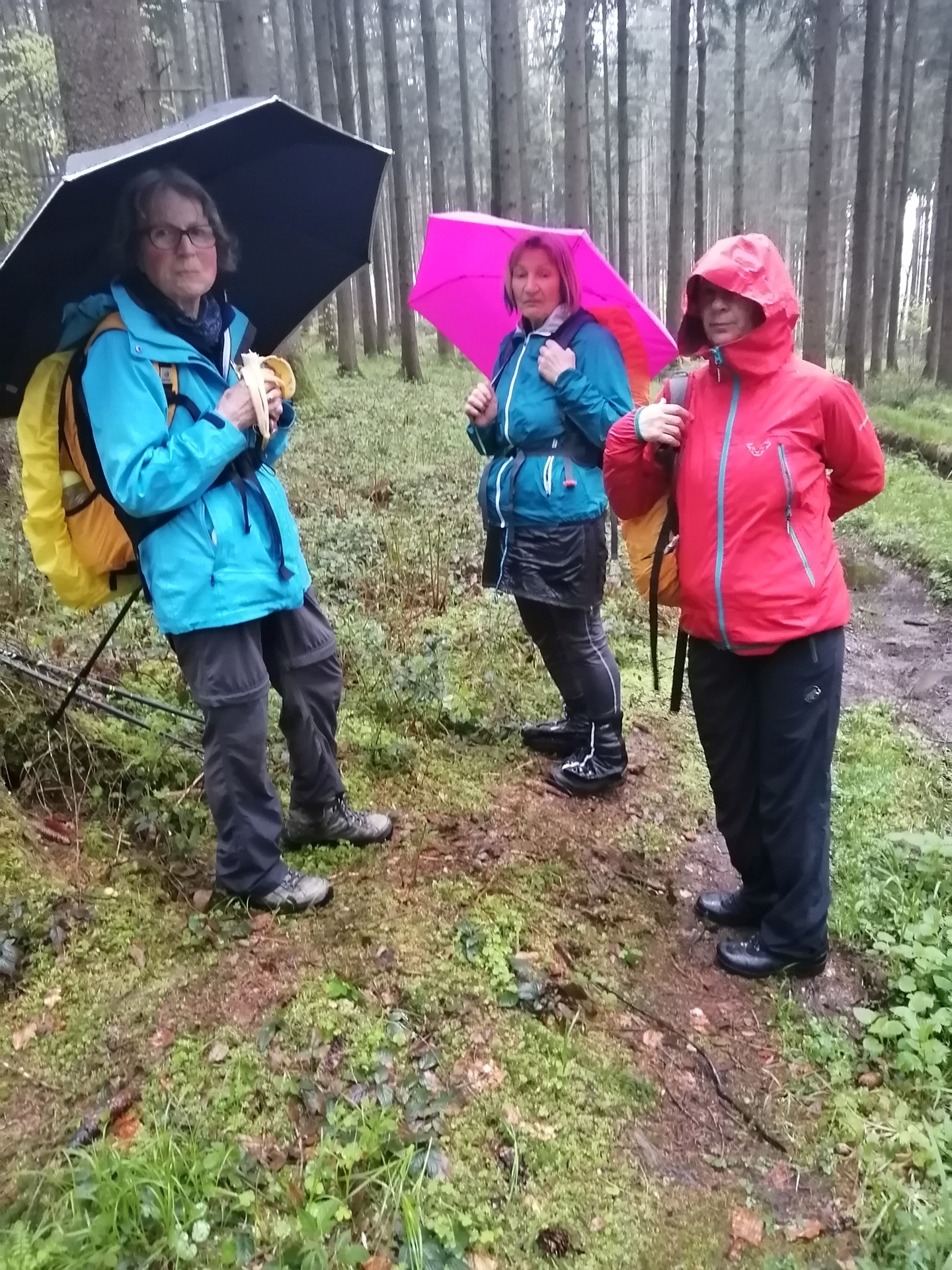 KFB Fußwallfahrt 23