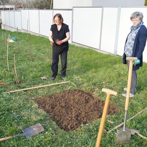 Wildheckenpflanzung auf der Pfarrwiese