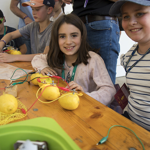 Minis in St. Florian