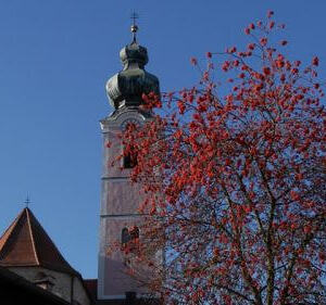 Adventwanderung der KMB